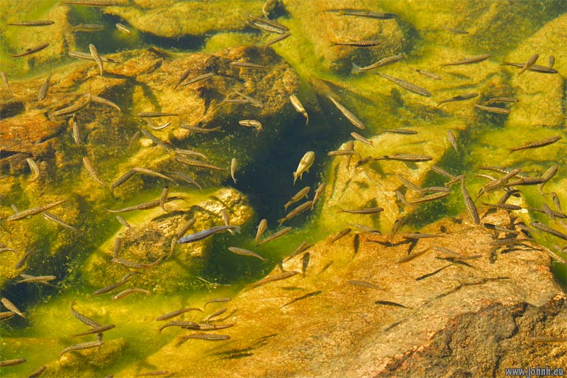 Parco nazionale del Monviso