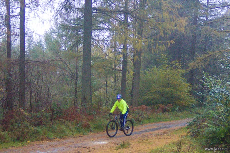 MTB in Brundholme Woods - Lake District