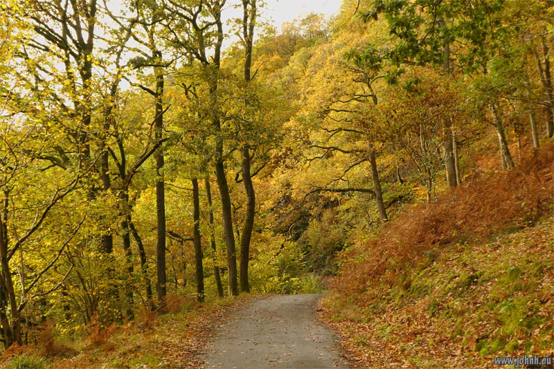 Glenderaterra Valley loop - Lake District National Park