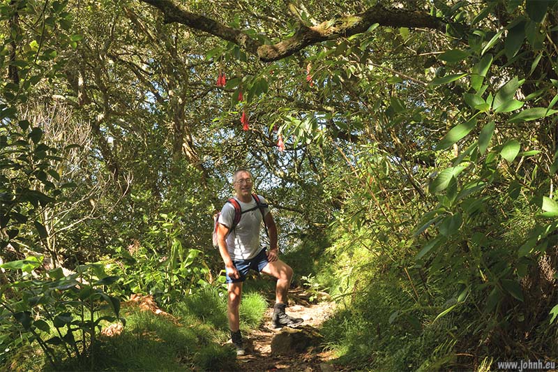 Hike from Cilaos, GR R1, Réunion Island
