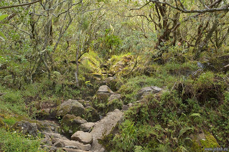 Hike from Cilaos, GR R1, Réunion Island
