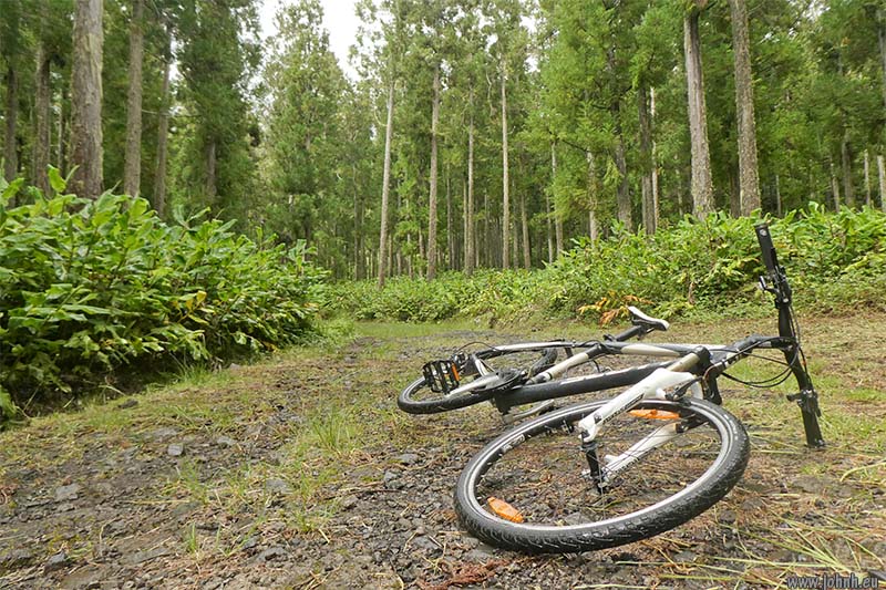 Cilaos mountain bike