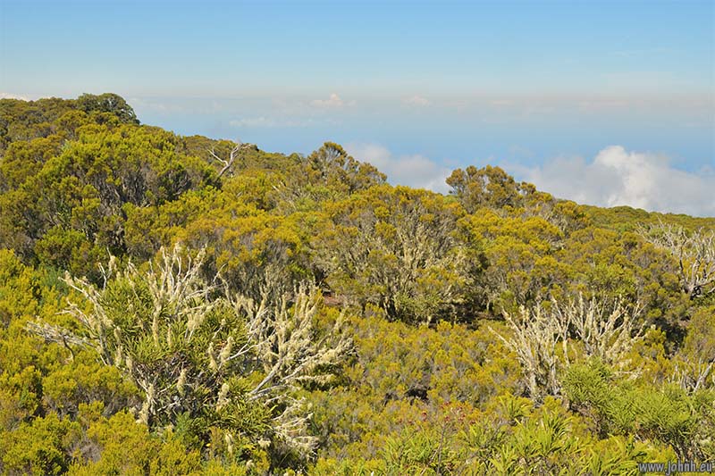 Hike from Le Maïdo, Mafate crater, Île de la Réunion 