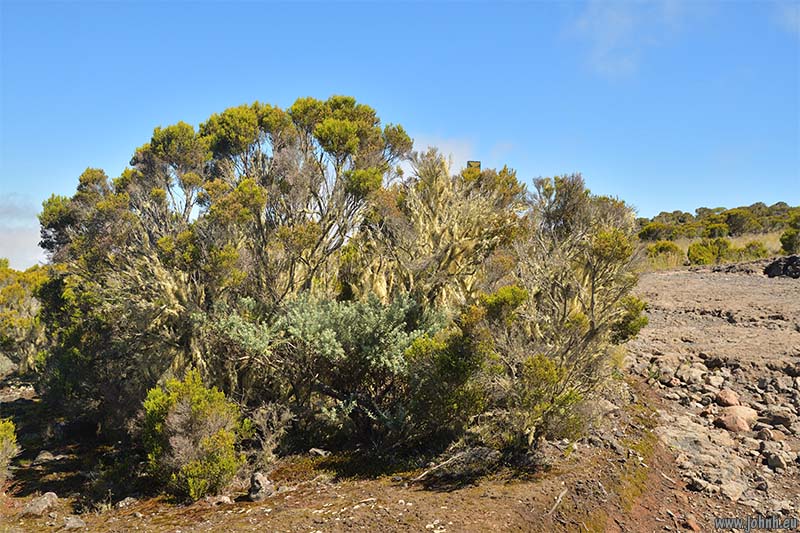 Hike from Le Maïdo, Mafate crater, Île de la Réunion 