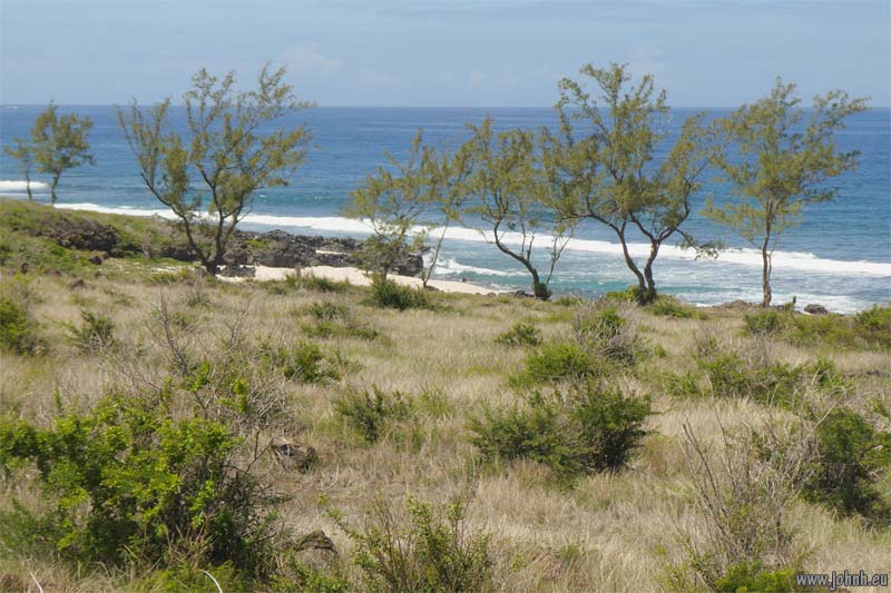 Mountain bike, Île de la Réunion