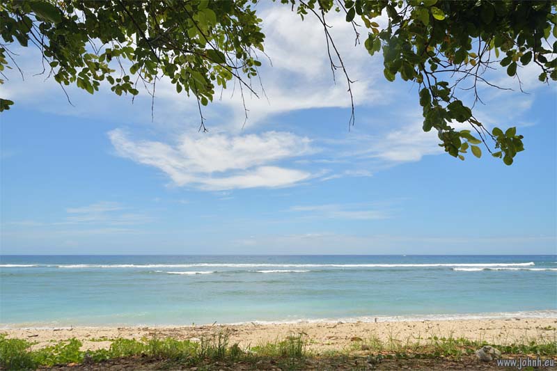 Flowering trees - Île de la Réunion