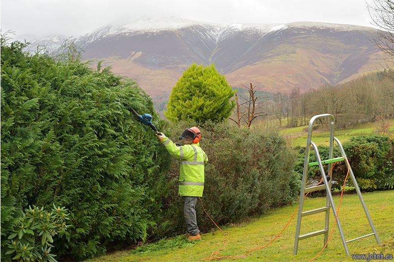 Trimming my Keswick garden hedges