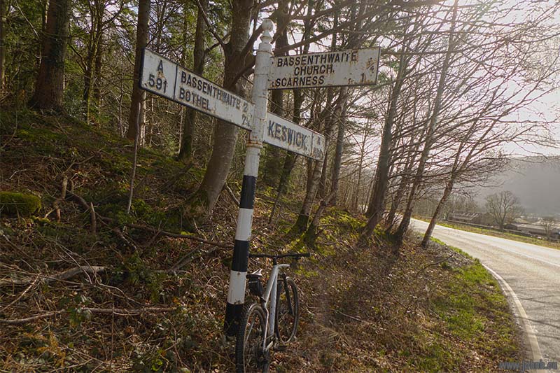 Dodd Wood, Lake District National Park