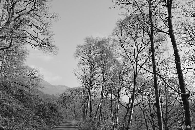 Brundholme Wood - Lake District National Park