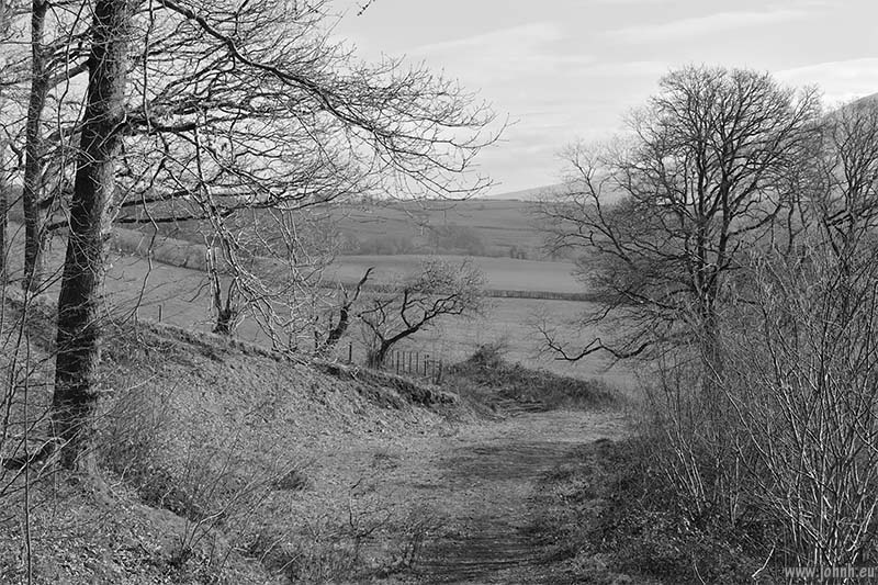 Brundholme Wood - Lake District National Park