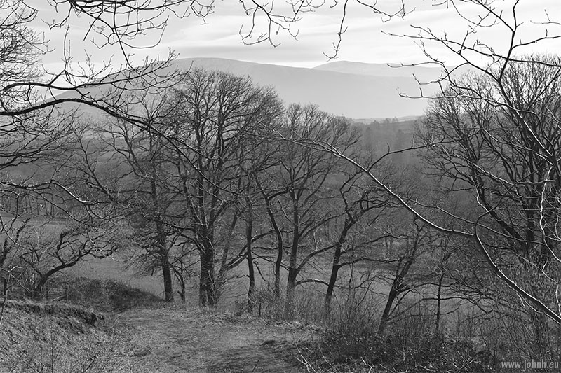 Brundholme Wood - Lake District National Park
