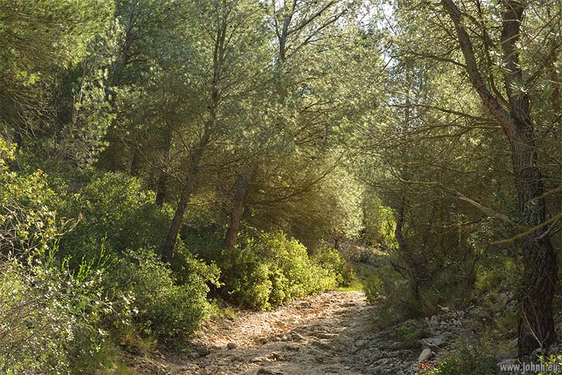 GR51-GR98  Parc national des Calanques