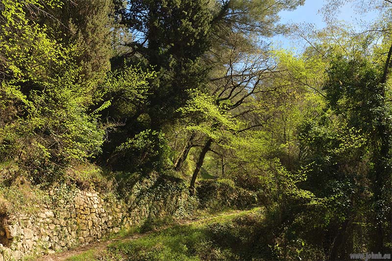 Mont Carpano, GR 51-52