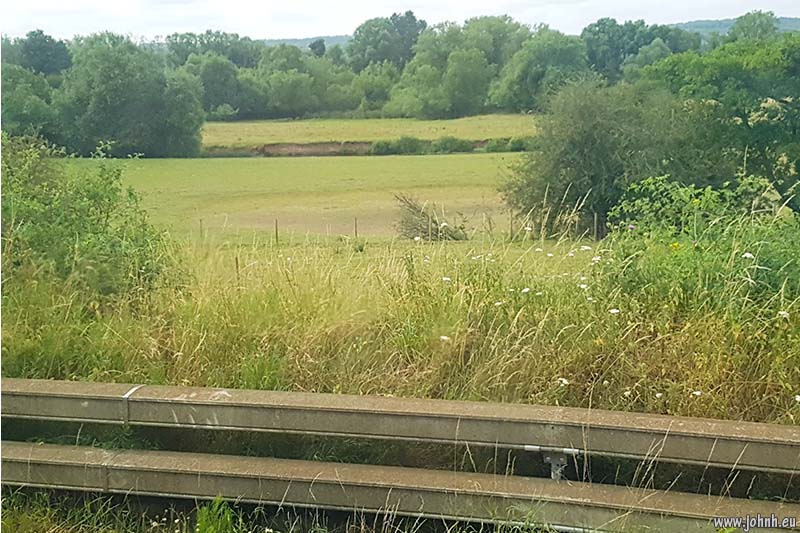 Animals on the railway