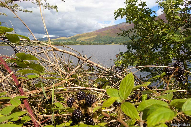 Bassenthwaite Lake