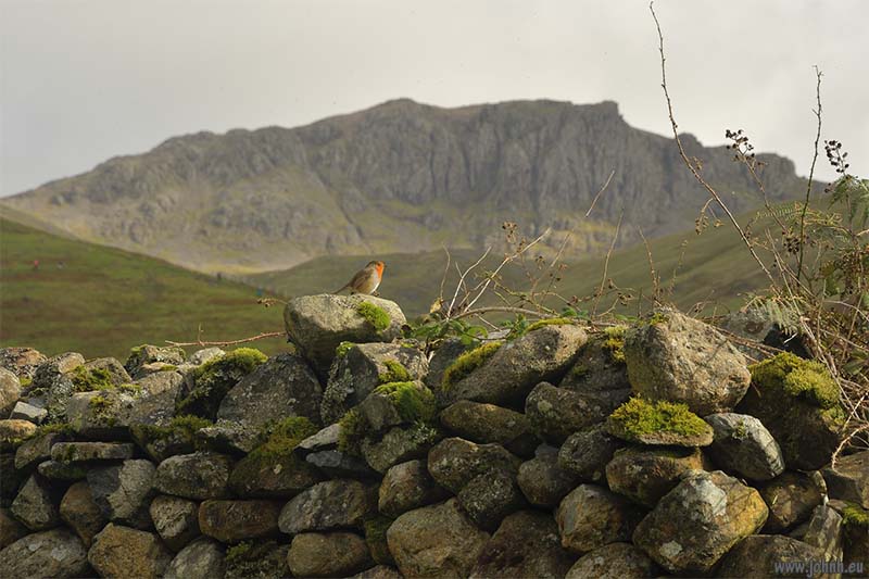 Wasdale - Lake District National Park