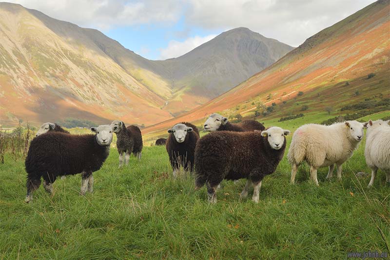 Wasdale - Lake District National Park